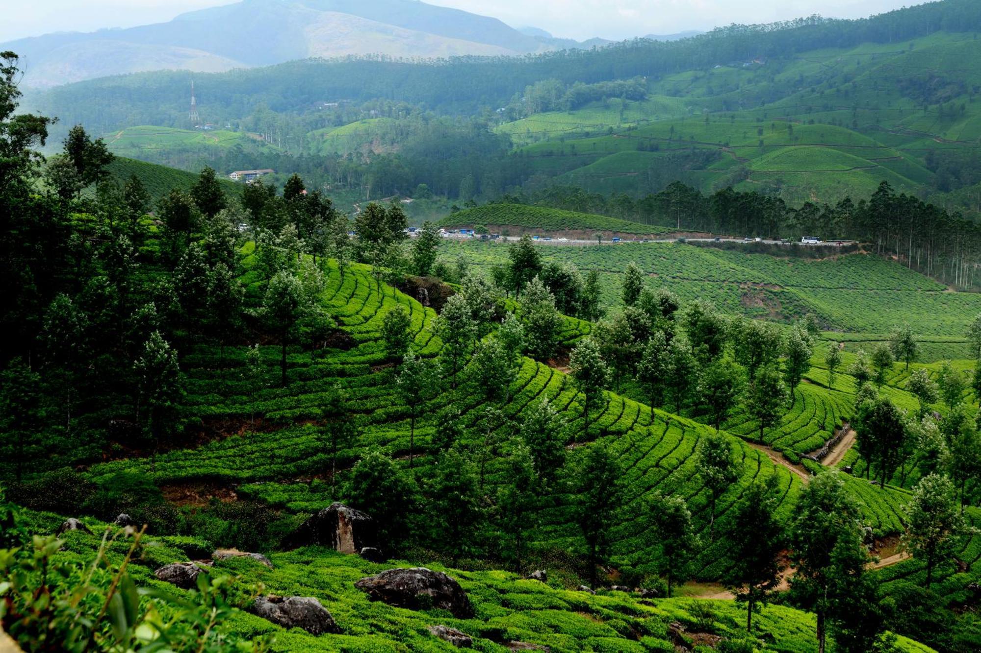 Mountain Club Resort Munnar Chinnakanal Esterno foto