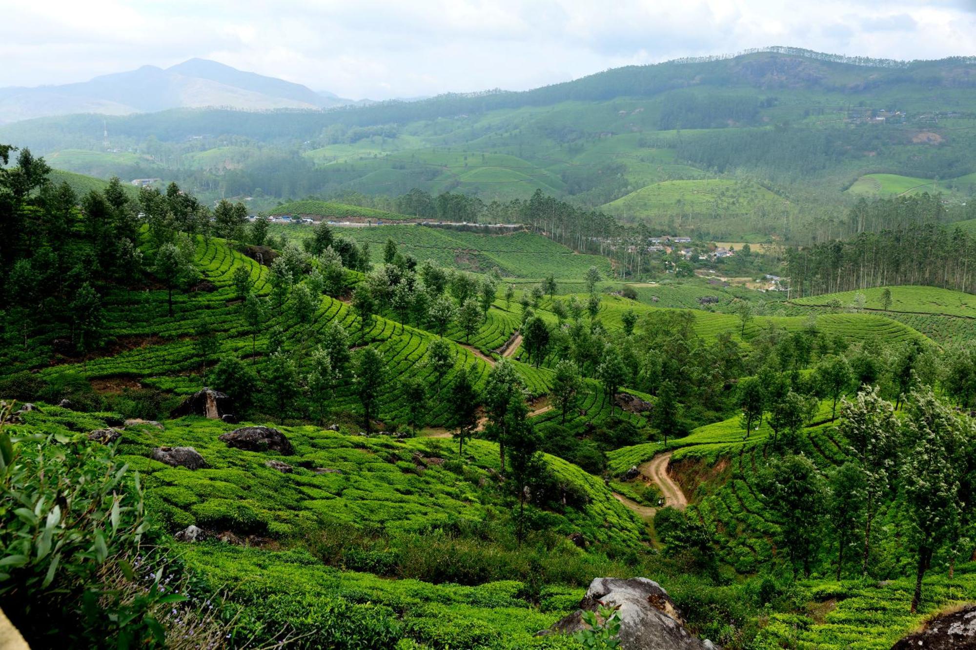 Mountain Club Resort Munnar Chinnakanal Esterno foto